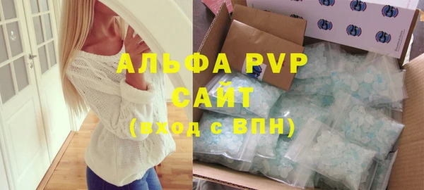 гидра Надым