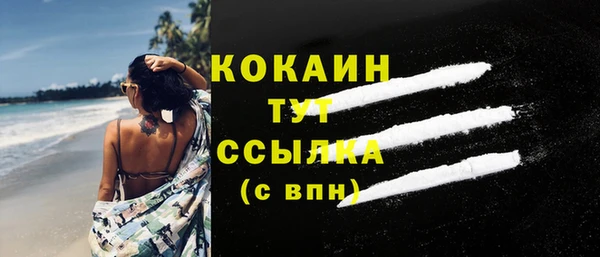 индика Наволоки