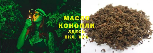 гидра Надым