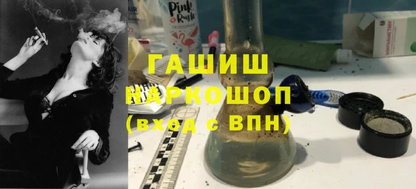 гидра Надым
