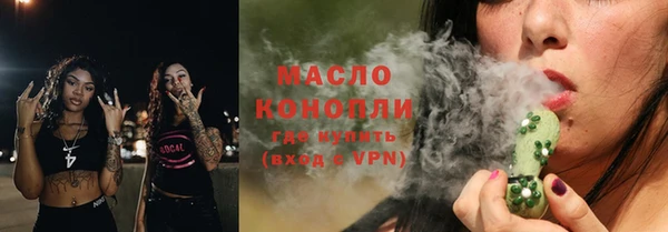индика Наволоки