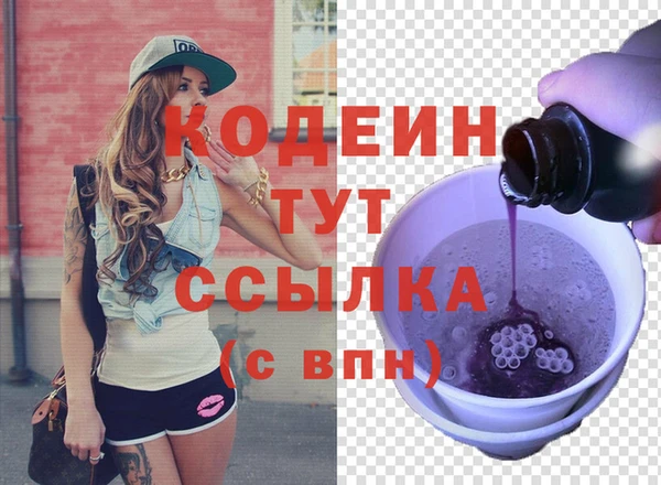 индика Наволоки
