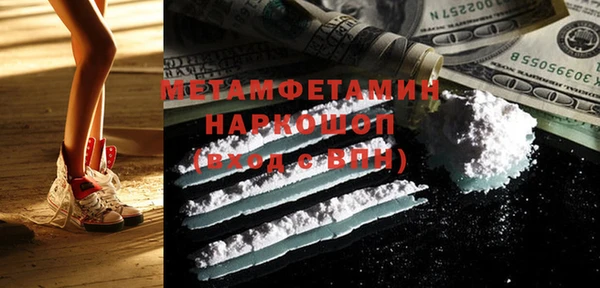 гидра Надым