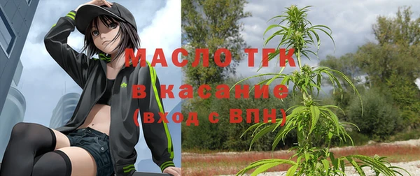 индика Наволоки