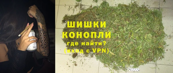 гидра Надым
