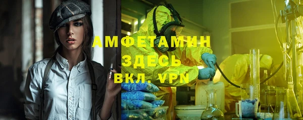 гидра Надым