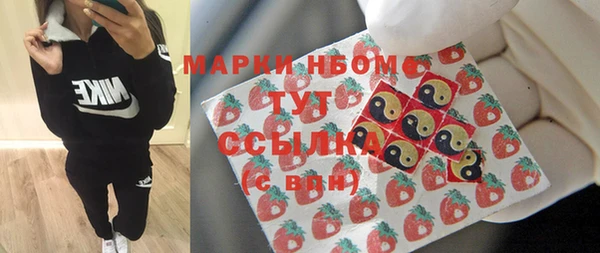 гидра Надым