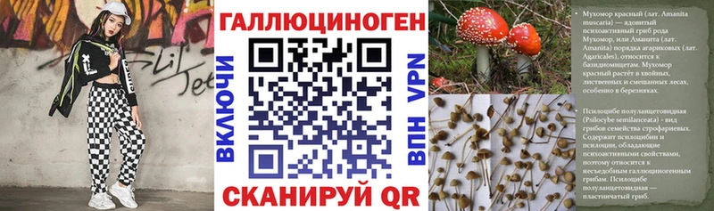 Галлюциногенные грибы MAGIC MUSHROOMS  закладка  Партизанск 