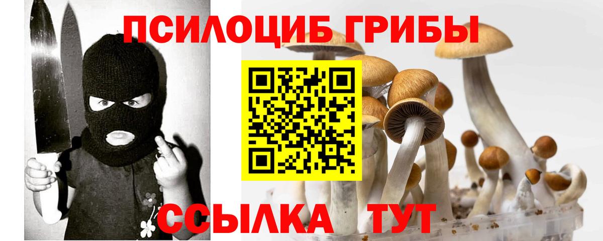 Партизанск  Галлюциногенные грибы мухоморы  закладки  Галлюциногенные грибы Cubensis  Вход с VPN 
