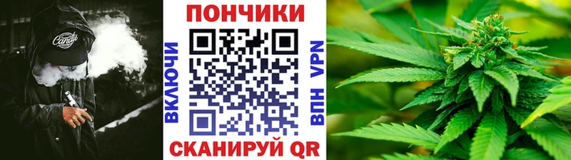 Бошки Шишки сатива  Партизанск 